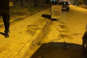 Direksiyon başında epilepsi geçiren sürücü kaza yaptı