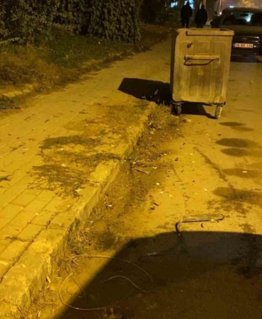 Direksiyon başında epilepsi geçiren sürücü kaza yaptı