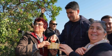 Doğaseverler 438 metre yüksekliğindeki Kayışdağı Ormanı’nda dağ çileği topladı