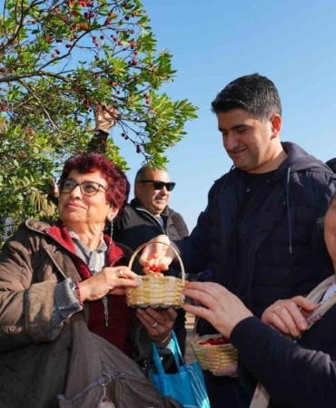 Doğaseverler 438 metre yüksekliğindeki Kayışdağı Ormanı’nda dağ çileği topladı
