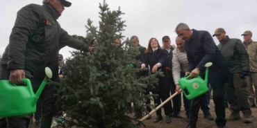 Edirne’de 2 bin fidan toprakla buluştu