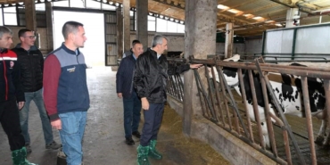 Edirne’de ari damızlık hayvan üretim merkezi yapılacak