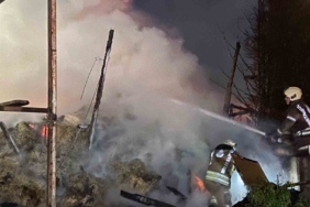 Esenyurt’ta kurbanlık hayvanların tutulduğu ahırda yangın: Büyükbaş hayvanlar telef oldu