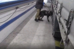 Hamzabeyli Sınır Kapısı’nda 17 kilogram kokain yakalandı