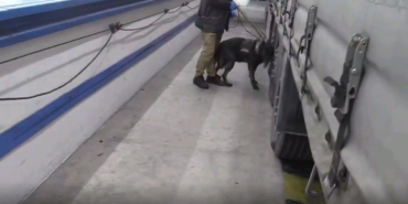 Hamzabeyli Sınır Kapısı’nda 17 kilogram kokain yakalandı