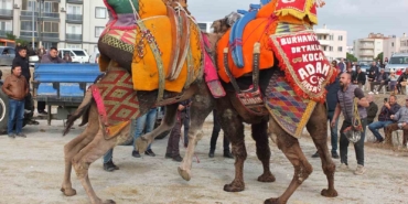Havut Hayrı güreş severleri buluşturdu