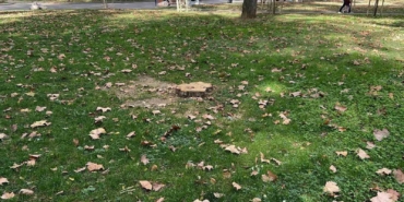 İBB Gülhane Parkı’ndaki 50 ağacı kesti