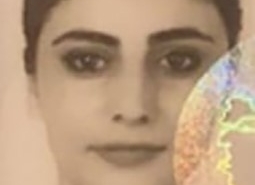 İstanbul’da denizde kaybolan abla ve erkek kardeşinin yurt dışından tatil için Türkiye’ye geldiği ortaya çıktı