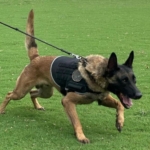 İstanbul’da ele geçirilen tonlarca uyuşturucuyla ilgili çarpıcı detaylara ulaşıldı