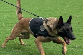 İstanbul’da ele geçirilen tonlarca uyuşturucuyla ilgili çarpıcı detaylara ulaşıldı