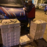 İstanbul’da yasadışı küçük boy balık nakli yapanlara ceza yağdı