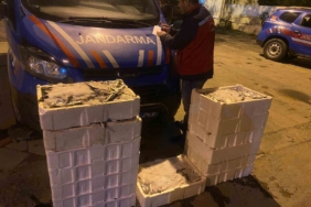 İstanbul’da yasadışı küçük boy balık nakli yapanlara ceza yağdı