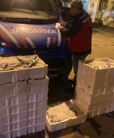 İstanbul’da yasadışı küçük boy balık nakli yapanlara ceza yağdı
