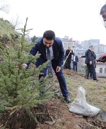Kağıthane’de yeşil gelecek: Her bebek bir ağaçla büyüyor