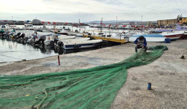 Karadeniz’den umutlu haber geldi: Balıkçılar bayram edecek