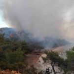Keşan’da ormanlık alanda çıkan yangın kontrol altına alındı