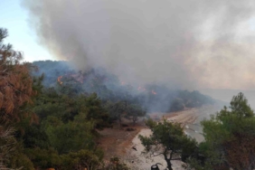 Keşan’da ormanlık alanda çıkan yangın kontrol altına alındı