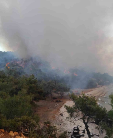Keşan’da ormanlık alanda çıkan yangın kontrol altına alındı