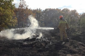 Kırklareli’nde orman yangını: 6 hektar alan zarar gördü
