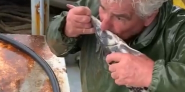 Kırklareli’nde yakalanan nesli tehlikedeki mersin balığı denize bırakıldı