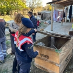 Kırklareli’nde yasaklı ırk köpek besleyen kişiye 317 bin 544 lira ceza