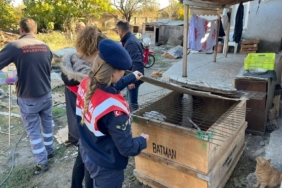 Kırklareli’nde yasaklı ırk köpek besleyen kişiye 317 bin 544 lira ceza