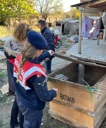Kırklareli’nde yasaklı ırk köpek besleyen kişiye 317 bin 544 lira ceza