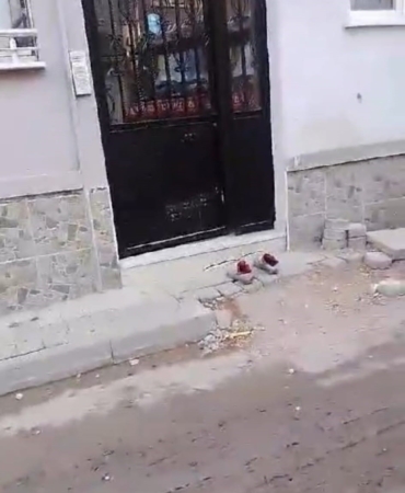 Kirli ayakkabılarını çıkarıp apartmana öyle girdi