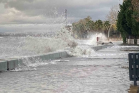 Kocaeli’de deniz taşarken 2 tekne battı, ağaçlar ise yerlerinden söküldü