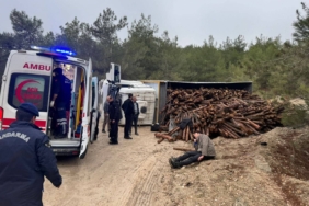 Odun yüklü kamyon devrilirken, 3 kişi yaralandı