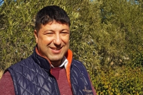 Oleolog Kıvrak: “Aşırı sıcaklar bu yıl zeytinyağını acı yaptı”