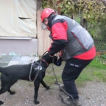 Sabah namazına kalkan oğlu babasını evde bulamadı: Ekipler ve mahalleli seferber oldu