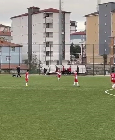 Sahanın sevimli ziyaretçisi futbolcuların antrenmanına ortak oldu