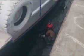 Sahil Güvenlik, iskele altında mahsur kalan kedi için kurtarma operasyon düzenledi