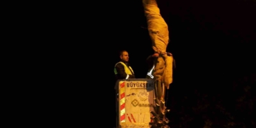 Sakarya’nın süsü palmiyeler için dondurucu soğuklara karşı özel önlem