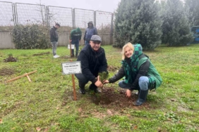 Şehit öğretmenler için stadyum çevresine ağaç diktiler