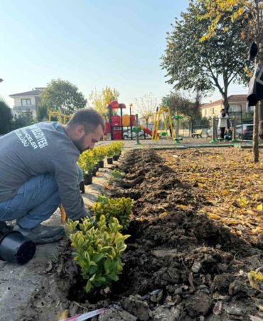 Serdivan’ın yeşil alanları güzelleşiyor
