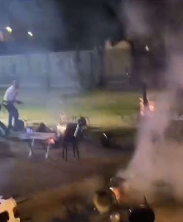 Seyyar balıkçılardan zabıtaya sandalyeli saldırı