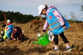 Şile’de 100 bin fidan toprakla buluştu