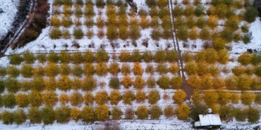 Sonbahar renkleri kar ile buluştu