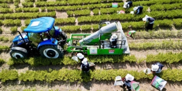 TABİP’te 2024 üretim sezonu tamamlandı