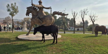 Tekirdağ’da atlı heykeli mesken tutan başıboş atlar ilgi odağı oldu