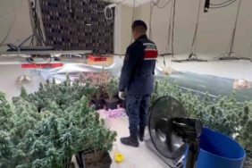 Tekirdağ’da iklimlendirme sistemli uyuşturucu serasına operasyon