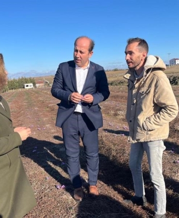 Tekirdağ’da ilk safran hasadı yapıldı