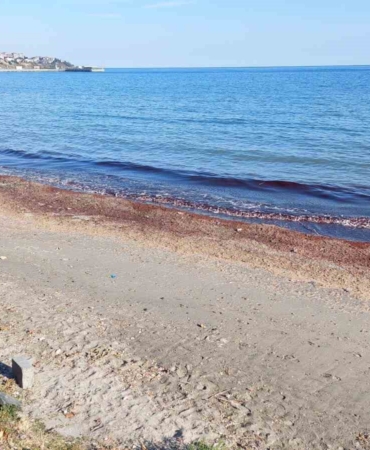 Tekirdağ’da kıyı kızıla boyandı