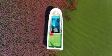 Terkos gölünde masalsı sonbahar manzarası