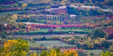 Uludağ’ın eteklerinde müthiş görüntüler