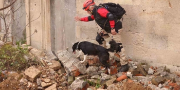 Uluslararası ’Arama Kurtarma Köpekleri Şampiyonası’ Çekmeköy’de yapıldı