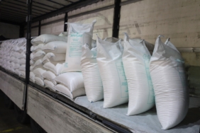 Üreticilere 169 ton arı yemi desteği