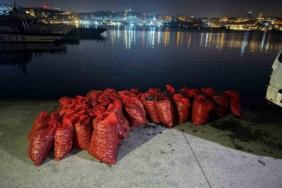 Üsküdar’da 2 ton kaçak midye ele geçirildi